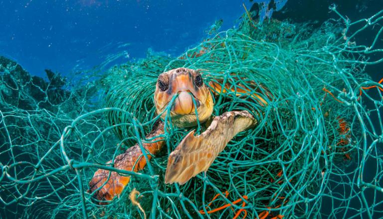 The Marine Environment, ARE WE DESTROYING THE OCEANS?