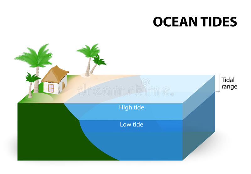 About tide in the Ocean(The Tidal Ocean)