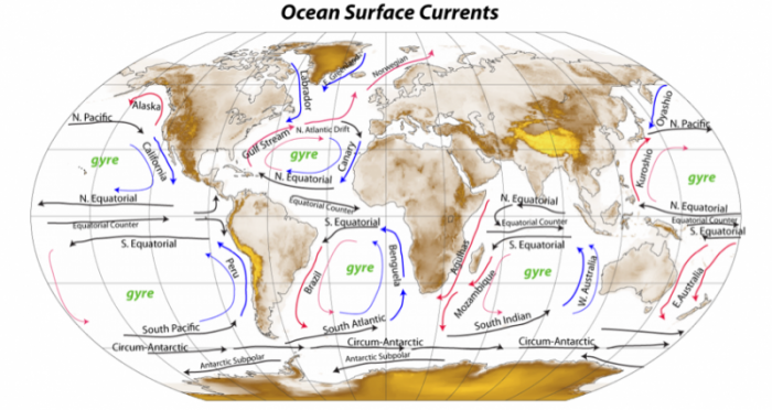 About circulating Water in the oceans