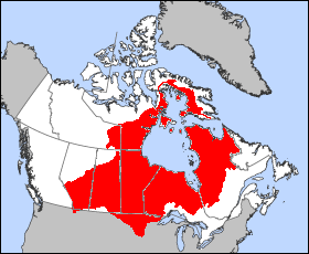 About Hudson Bay, facts and maps