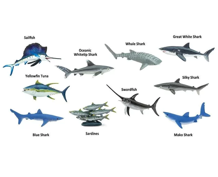 Exploring the Diversity of Pelagic Fish: An Overview of Common Species