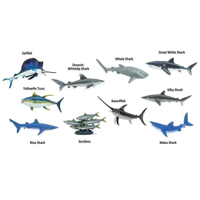 Exploring the Diversity of Pelagic Fish: An Overview of Common