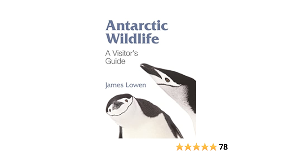 Exploring the Diverse Wildlife of Antarctica: A Comprehensive Insight